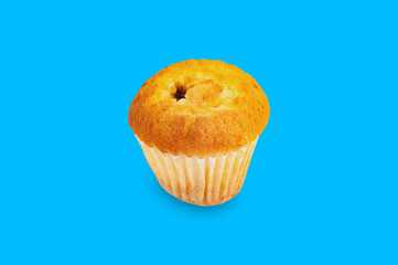 Whole baked muffin without cream in paper form in center on blue background