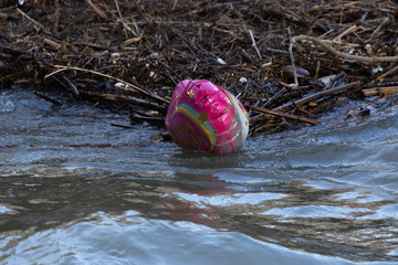 Treibholz Luftballon Einhorn Müll Happy Birthday Hochwasser Rhein