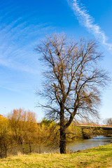 Sunny Autum Day by the Nisava River