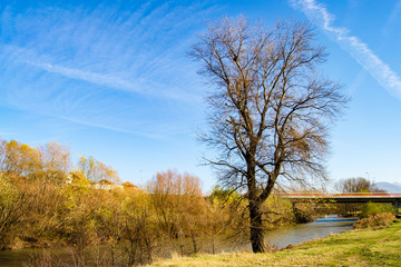 Sunny Autum Day by the Nisava River