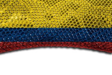 Colombia flag on snake skin with a clean place for the inscription