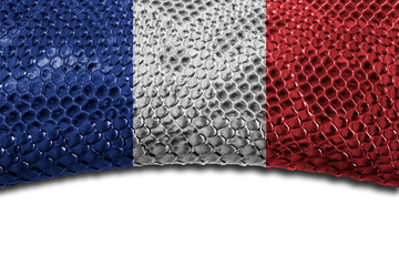 France flag on snake skin with a clean place for the inscription