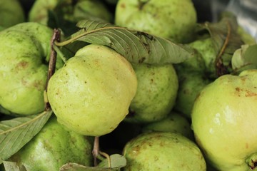 Fototapeta premium Guava fruit is delicious at street food