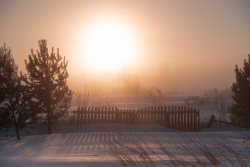 Cold morning in Siberia 