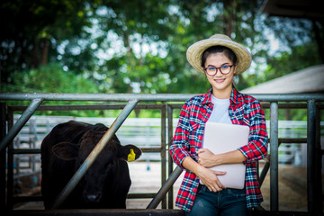 Beautiful girl feeding cow on cow farm