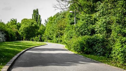 Park road near danube canal surrounded by green bushes and trees