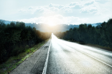 Berg. Strasse. Wald.