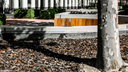 Portrait tonal image of the plane trees and benches in the recreation area between some office buildings in Vienna