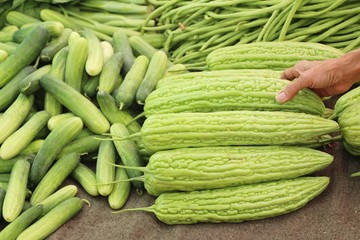 Bitter melon gourd for cooking in market