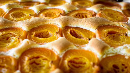 Fresh baked apricot cake in saucepan with apricots placed in lines - Austrian style