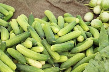 Fresh cucumbers for cooking in the market