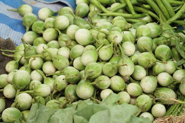 Fresh eggplant green organic at street food