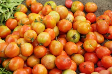 Fresh tomatoes for cooking in street food