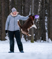 woman and dog breed Australian Shepherd playing dog frisbee in the snow
