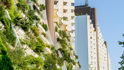 White residential buildings with green plants on the balconies and yellow awnings