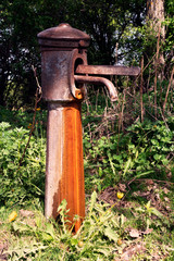 fire hydrant in garden