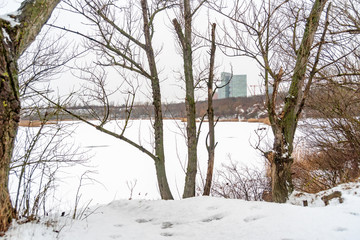 Trees in front of the snow covered Recreational Area Wienerbergsee and the Vienna Twin Towers in the back,