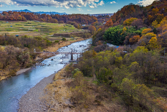 Autumn Leaves and Chikuma River