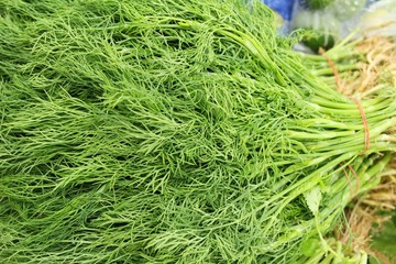 Fresh coriander for cooking in the market