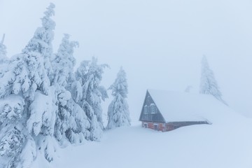 Alps in a extremely cold and frosty winter conditions. Extreme cold and deep snow, strong snowstorm. Foggy winter weather. Old frost covered country house surrounded by snowy trees. Christmas time