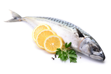 Mackerel fish on white background