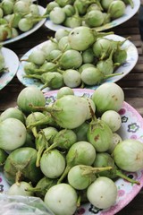 Fresh eggplant green organic at street food