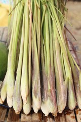 Fresh lemon grass for cooking in market