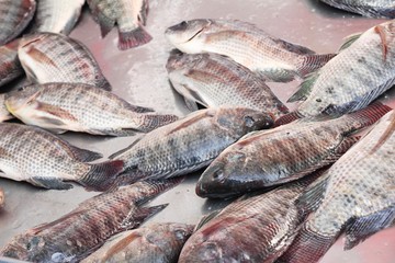 Fresh fish for cooking at street food