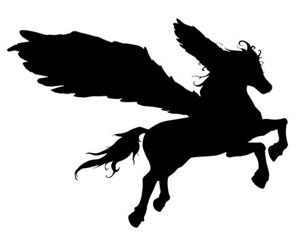 silhouette of a horse