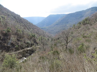 Mountain view within walking path in nature