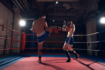 Two young male boxers training kickboxing in the ring at the health club