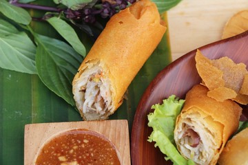 fried spring rolls traditional for appetizer food