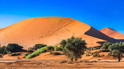 Düne Sossusvlei Namibia