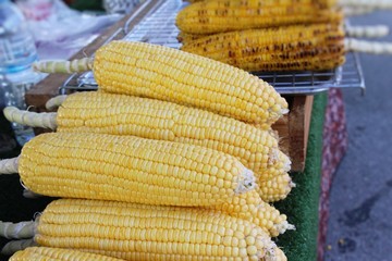 Fresh corn for cooking in the market