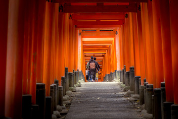 Walking the torri tunnel at shrine in japan