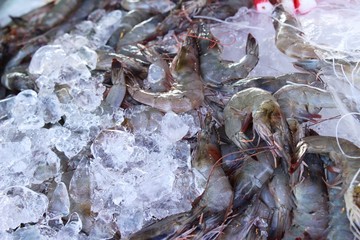 Fresh shrimp for cooking at street food