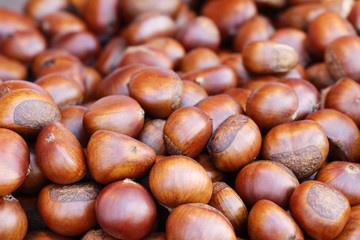 Roasted chestnuts is delicious at street food