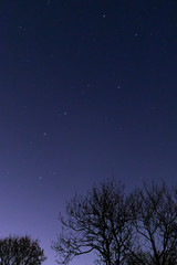 Fototapeta premium Ursa Major - The Great Bear