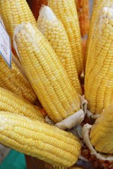 Corn cob at street food