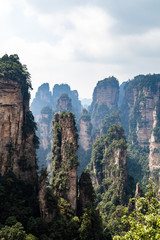 The panorama of the so called “black forest” in Yuanjiajie area in the Wulingyuan National Park, Zhangjiajie, Hunan, China. Wulingyuan National park was the inspiration for the movie Avatar