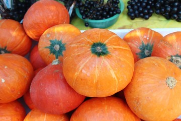 Fresh pumpkin for cooking in the market