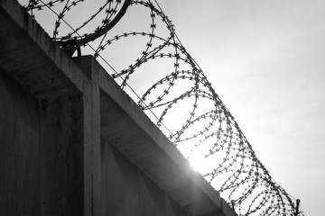Barbed wire on the top of fence and sunlight coming through thorns. Symbol of captivity, bondage...