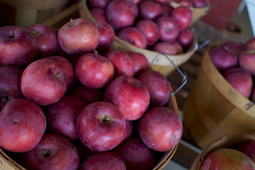 PA080031 apples bushel