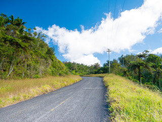 Fototapeta na wymiar Ruta panoramica road in Puerto Rico. USA. this road is little used by tourists but allows to leave the tourist circuit and offers great views.