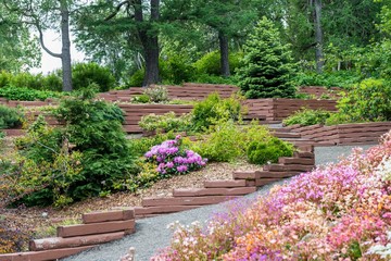 garden with flowers