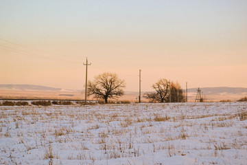 Early spring, bare trees, snowy fields of nature, horizon.