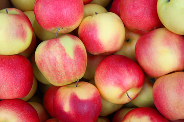 Fototapeta na wymiar group of red apples