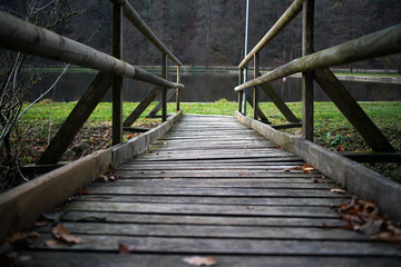 Gloomy landscapes with dark trees photographed on a murky stormy winter afternoon in Germany