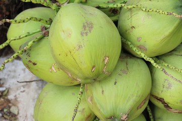 Coconut fruit is delicious at street food