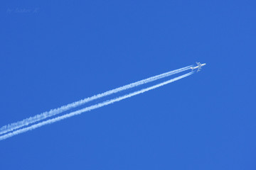 airplane in the sky